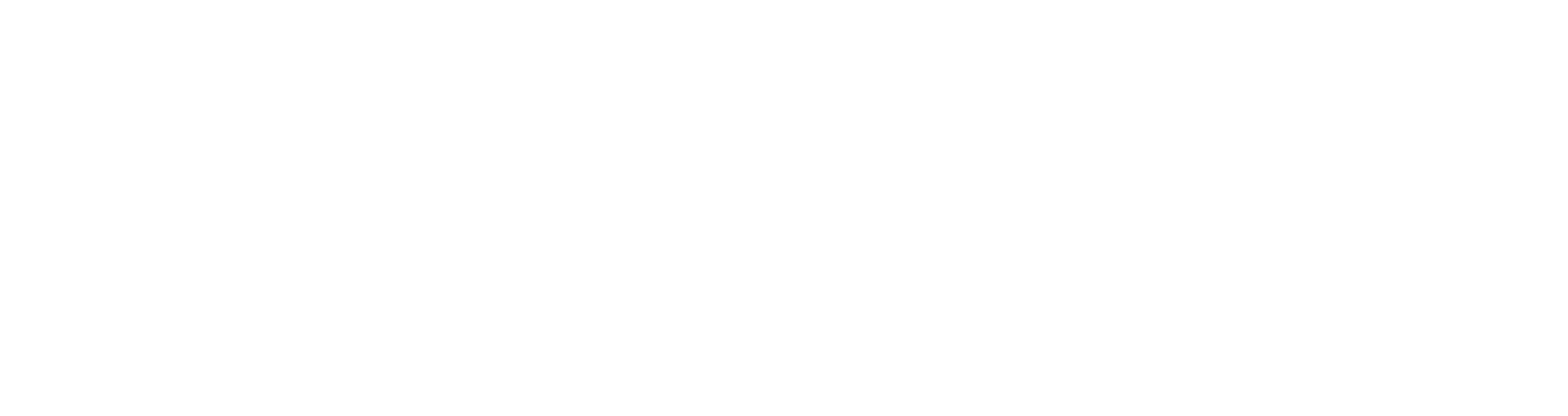 Leader Performance Logo